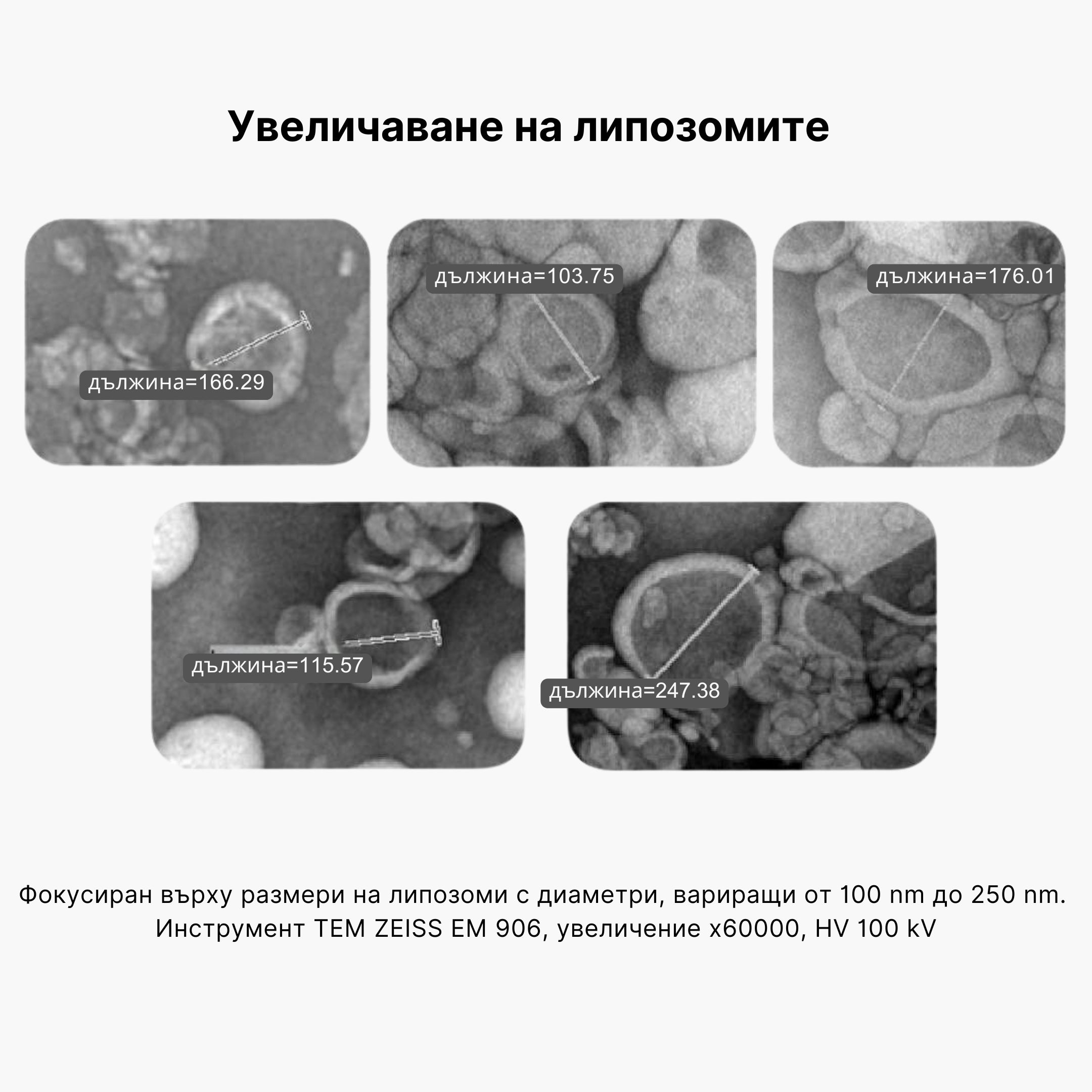 (Bulharština)_4